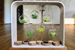 Naudoti daiktai – naujo verslo pamatas. Kodėl gi ne?