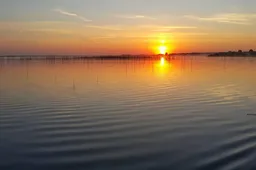 Žuvinte užbaubė ir vienas svarbiausių pavasario skelbėjų