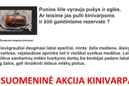 „Kinivarpa“: ar paliksime Punios šilą ramybėje?