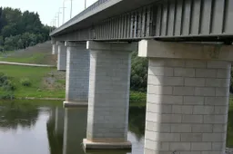 Folijos lankstinukai – Šilelio g.