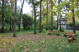 Alytiškių iniciatyva:  bus tvarkomas Romo Kalantos skveras