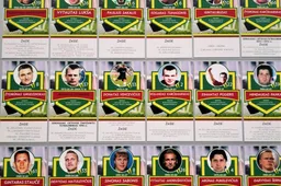 Stadione – pagarba Alytuje užaugusiems Lietuvos rinktinės nariams