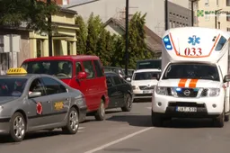 Alytuje šuo apkandžiojo laiškininką