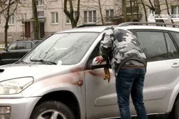 Dažais išteplioti Statybininkų gatvėje stovėję automobiliai