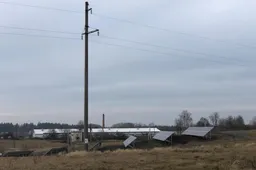 Nuo mirtino paukščių gripo Lenkijoje saugomasi ir Alytaus r. paukštynuose