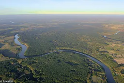 Aplinkos ministras sustabdė medžioklę Punios šile