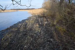 Senkanti Dzūkijos jūra ir ežerai liudija: pasaulinė klimato kaita – neišgalvota