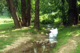 Alytupis: miestui priklausiusi teritorija tapo nauju rajono kaimu