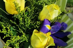 Mokytojų diena: sveikina Alytaus miesto, rajono vadovai