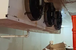 Alytaus rajone veikiančios mėsos perdirbimo įmonės veikla sustabadyta, produkcija – sunaikinta