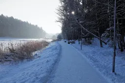 Šiemet takai prie Didžiosios Dailidės ežero bus skirti slidininkams – jie nebus valomi