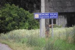 Teismas:  dėl Punios šilo buvo priimtas nemotyvuotas ir nepagrįstas sprendimas