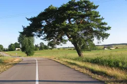Trūksta pinigų ar norite pamatyti vaiduoklius – važiuokite į Alytaus rajoną