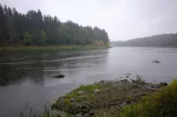 Nemuno lygis – daug žemesnis už daugiametį, Lietuvai prognozuojamas nusausėjimas