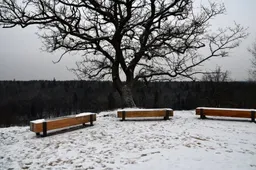 Lankymui naujai pritaikyti keturi Dzūkijos piliakalniai