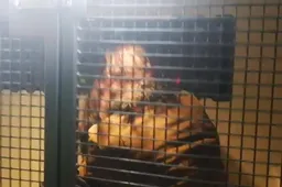 „Fordui” kliudžius „Opelį“ nemalonumai tik prasidėjo