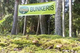 Buvęs Alytaus miškų urėdas G. Gibas: „Punios šilą palikim gamtai, Lietuvai ir visai Europai"