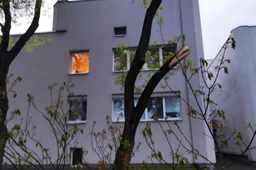 Kertant, genėjant medžius leidimų reikės ne visada