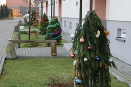 Alytus kviečia dalyvauti kalėdinio puošimo konkurse