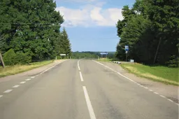 Eurorinkimai artėja: vietos skelbimų lentose mažėja