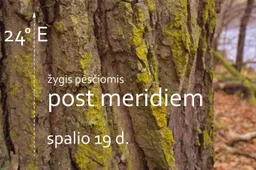 Žygis – kojoms pamiklinti ir žinioms įgyti