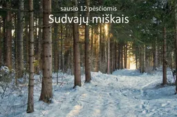 Pirmieji metų žygiai po Dzūkiją – tą pačią dieną, bet skirtingomis kryptimis