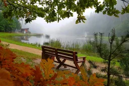 Dienos pradžia prie Dailidės tampa kasdienybe