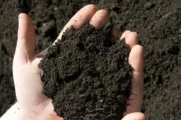 Gaisro paveiktuose kaimuose vyks tyrimai