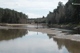 Dailidėje atsiranda ... salos