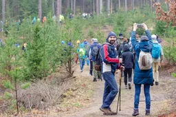 Stoja ir „laukiniai“ renginiai: „Alpinizmo elementoriaus“ žygio į dzūkų „kalnus“ nebus
