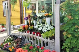 Savo užaugintas gėles galima parduoti be dokumentų