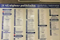 Alytaus mieste skelbiama gripo epidemija