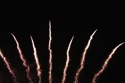 Pirmąkart per 20 metų: Alytaus gimtadienio fejerverkai - be miesto himno