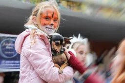 Šunims ir jų šeimininkams skirtą šventę taip pat aplankė katinai, vėžliukas ir žirgai