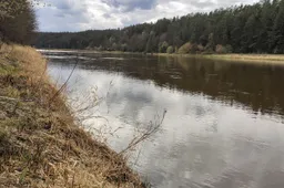 Tiriamas Nemunas: aplinkosaugininkai teigia, kad vanduo nėra toksiškas ir pavojingas