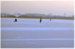 Užšalo ir dzūkų „jūra“ Dusia, storiausias ledas – Dailidėje