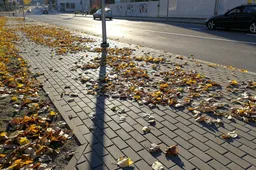 „Alytaus infrastruktūra“, „Raguvilė“ ir  „Skongalis“ išvežė apie 200 tonų lapų