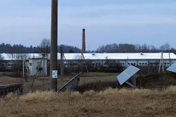 Domantonių paukštyne vienu metu auginama gerokai per 100 tūkstančių viščiukų