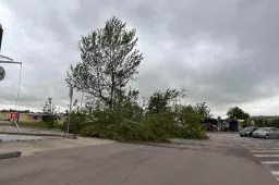 Stiprus vėjas Alytuje varto medžius