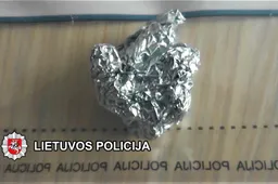 Putinuose - folijos suktinukas su „medžiaga“