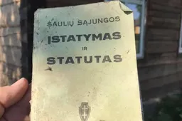Remontuojamame sename name rasti lobiai