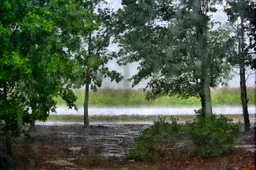 Orų prognozė: šventinį savaitgalį prireiks šiltesnių rūbų ir skėčių