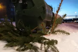 Kur po švenčių palikti eglutę Alytaus mieste?