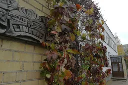 „Lineliui“ naujoji direktorė ims vadovauti lapkritį