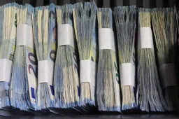 Apgaulės būdu neteko dešimčių tūkstančių eurų