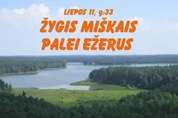 Pėsčiomis – devynių Dzūkijos ežerų pakrantėmis ir tarpuežeriais