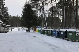 Kapinių šiukšlių konteineryje palikta šuniukų vada – išgyveno pora