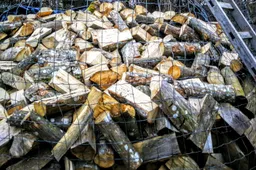 Dėl pažeidimų Alytaus miškų urėdijoje - kreipimasis į prokuratūrą, FNTT ir STT