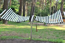 Alytaus sode piktavalių nuniokoti instrumentai bus sutvarkyti