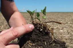 Dirvožemio „žemėlapis”: ar tinkamai tręšiame laukus?